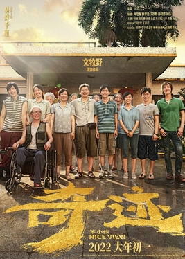 奇迹·笨小孩 海报